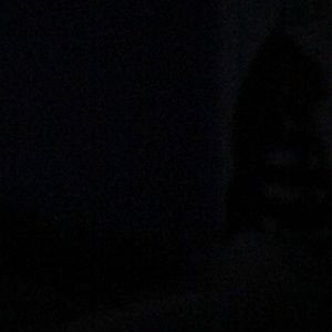 Meet your Posher, Anne